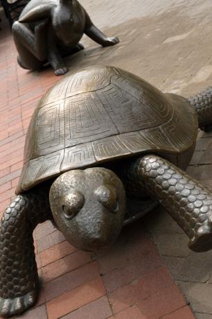 13. The Tortoise and the Hare- 1